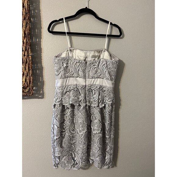 Adrianna Papell Dress 10 Pewter Light Lilac/Gray W Bra Wedding Party Cruise - Picture 9 of 10